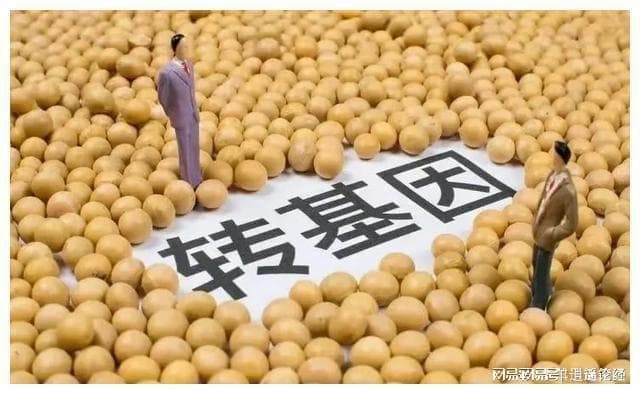 转基因必须有周密的实践证明和严谨的科学论证才能让老百姓放心