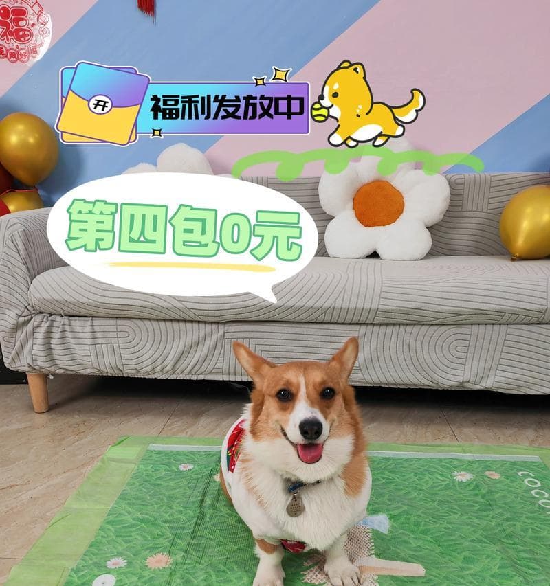 狗狗小便有东西的原因解析（探索狗狗小便异常的背后原因及应对方法）