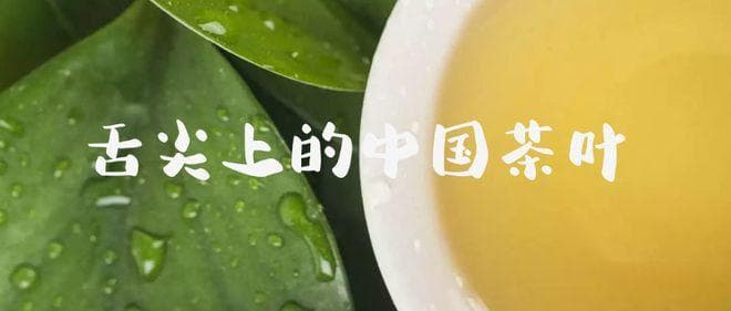 六安瓜片的历史和制作工艺