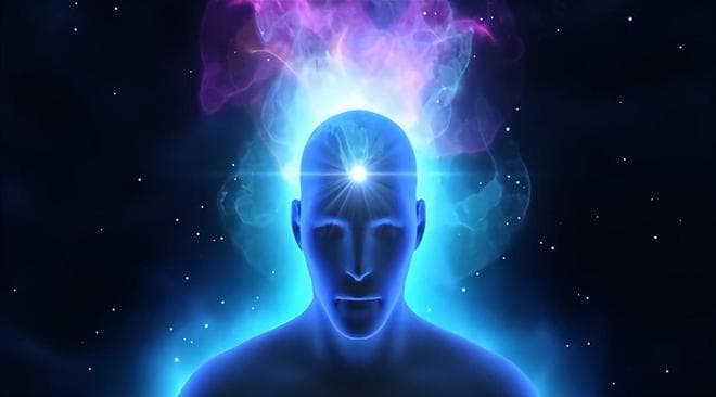 波函数坍缩揭示人类意识起源？科学家发现大脑中的量子效应