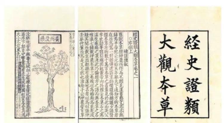 催产素：从古至今的医学应用与科学探索