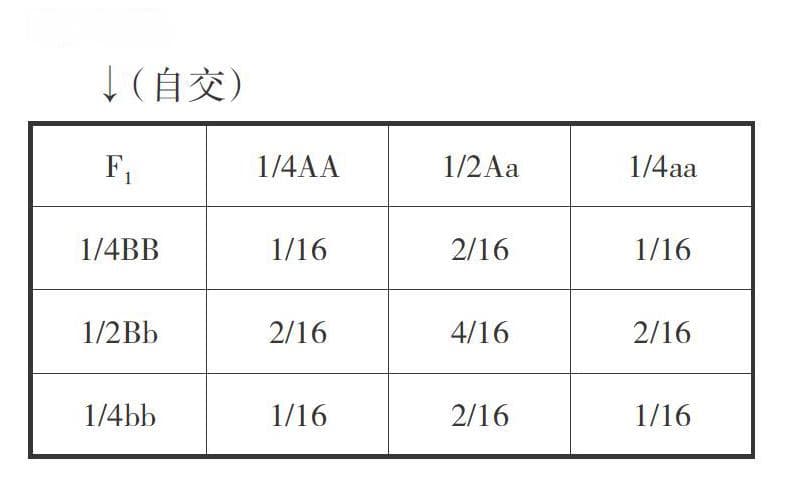 巧用棋盘法解决不同类型的遗传题