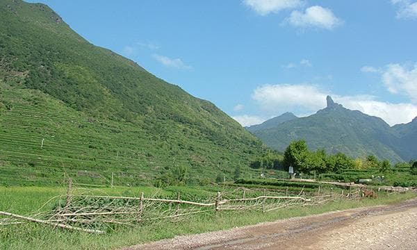 遂昌县金竹镇：一个浙江山区小镇的全面发展之路