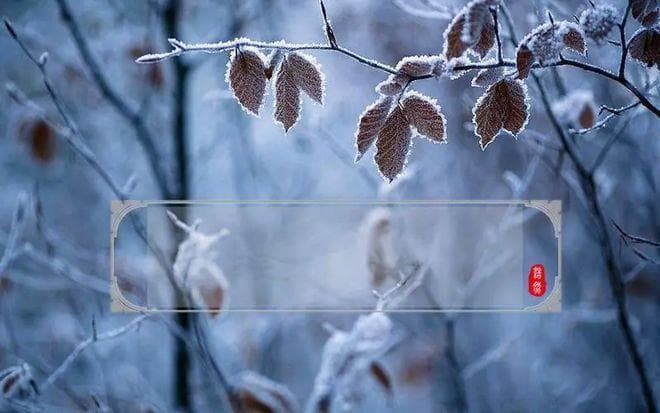 霜降节气文化习俗：古今智慧交融
