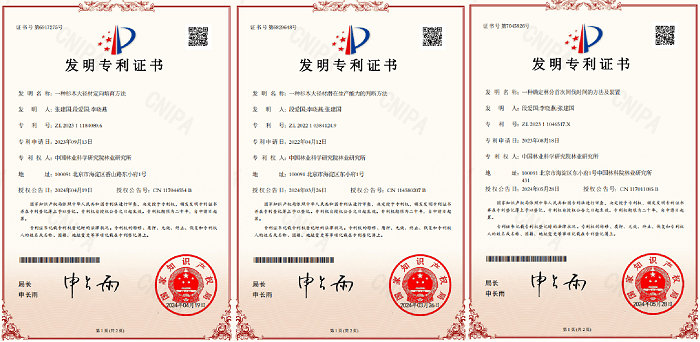 中国林科院研发杉木大径材全周期定向培育技术获三项国家发明专利