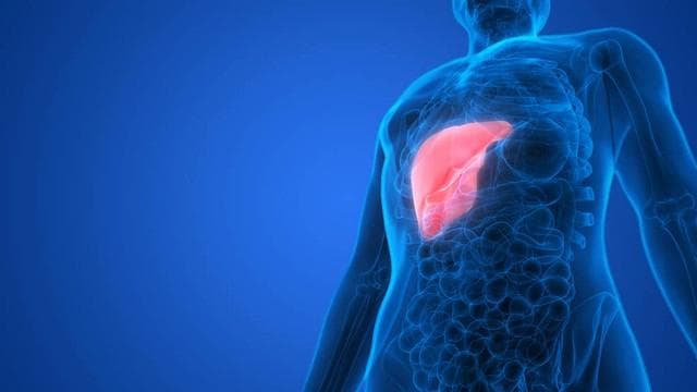 中医调理肝脏疾病：科学养肝，提升身体解毒能力