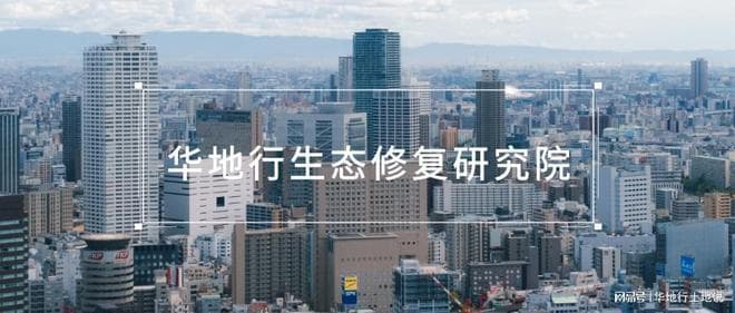 研究｜城市综合交通体系规划建设思路