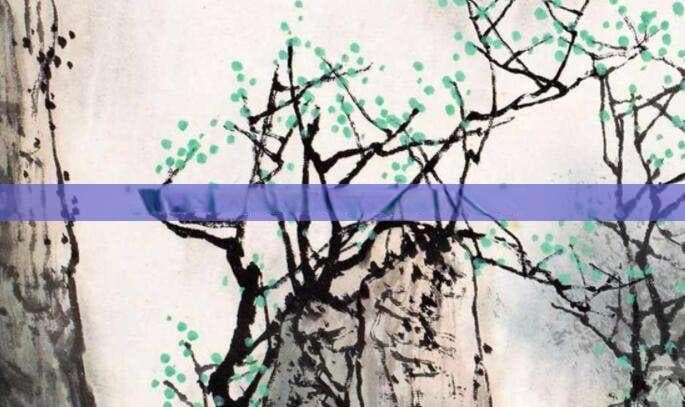 一尺一，揭秘家居新潮流，尺寸背后的生活智慧