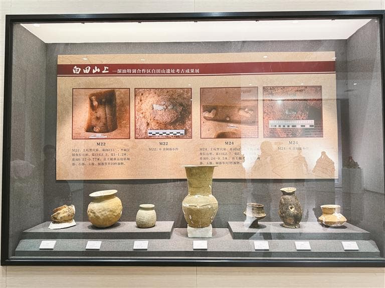遗址文物首次对外公开展览 白田山遗址有啥看点