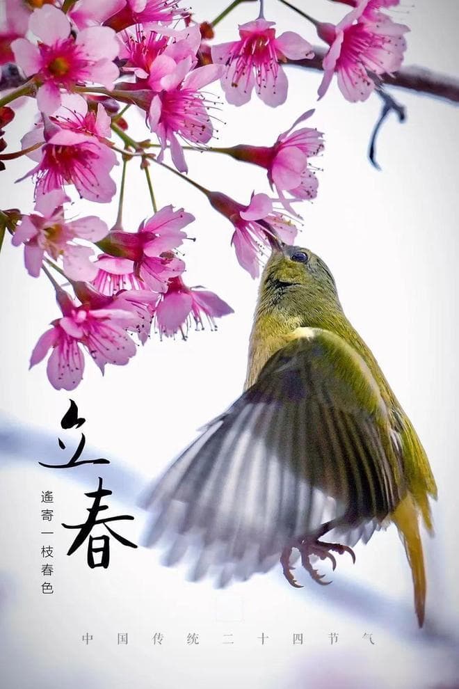 见书：中国传统二十四节气