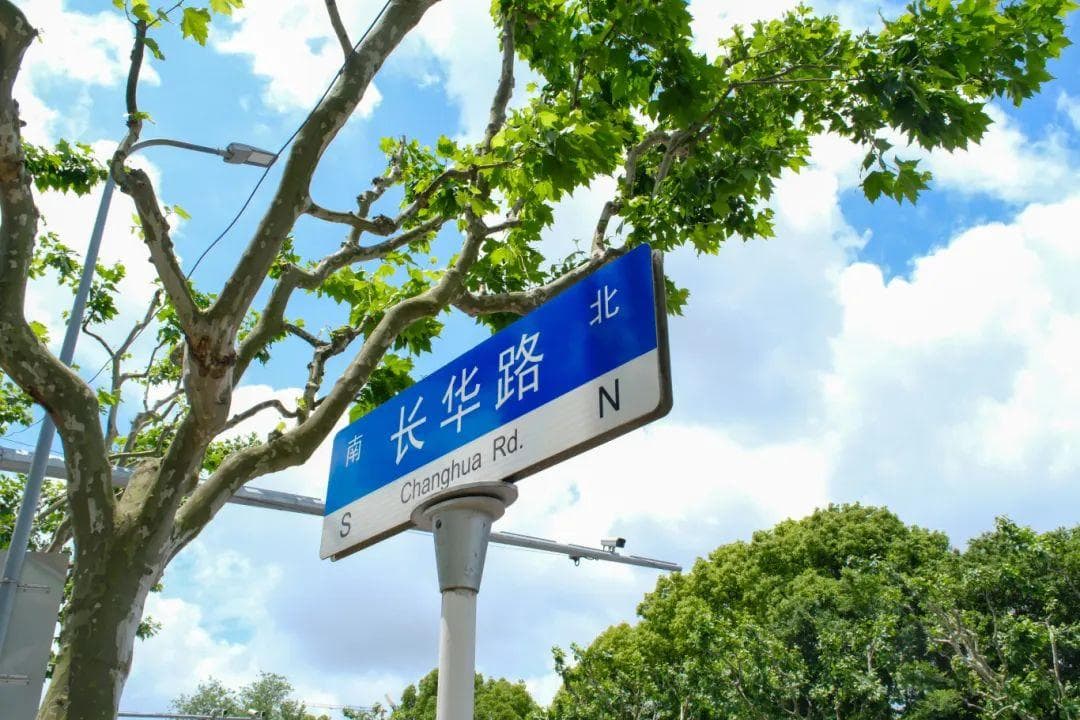 上海徐汇区新开八千余平方米绿地公园，百年桂花树成最大亮点