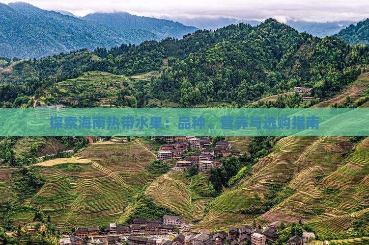 探索海南热带水果：品种、营养与选购指南
