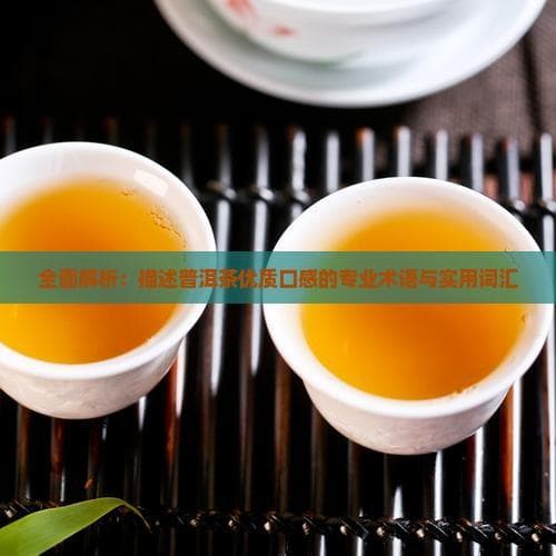 全面解析：描述普洱茶优质口感的专业术语与实用词汇