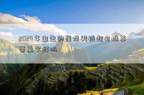2024年出生的属龙男孩起名推荐带禹字好吗