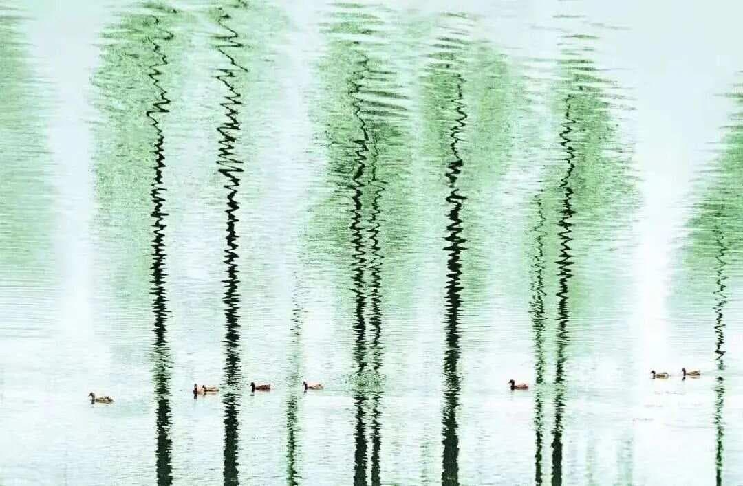 “巧用动词” 十二例，你的写作更精彩