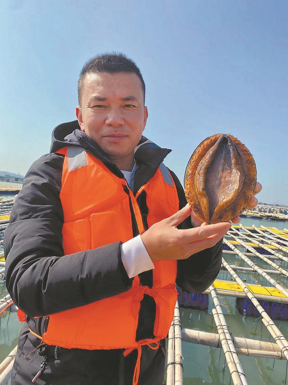 绿盘鲍破解养殖难题，福建鲍鱼产业迎来千亿蓝海