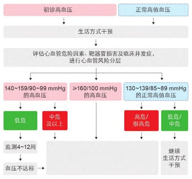 超过65岁，血压控制在多少合适？新版《指南》发布，这四个要点必须知道
