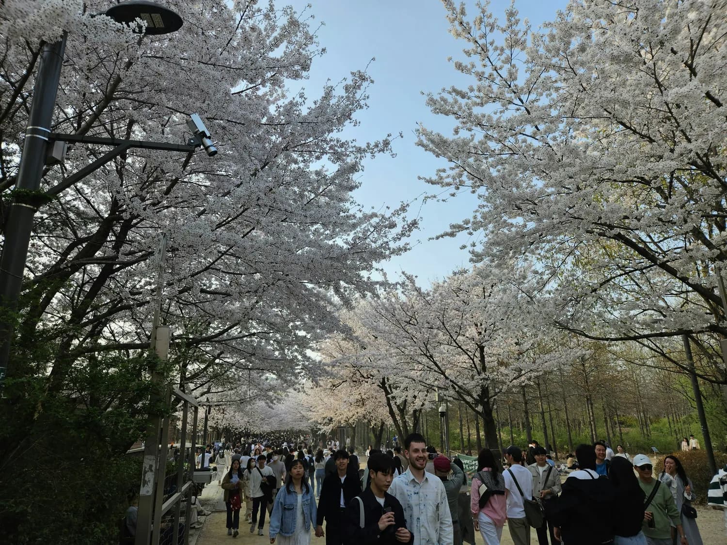 上海辰山植物园：春日赏花与亲子科普的完美结合