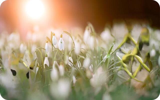 春分节气播种什么蔬菜 雨水节气吃什么食物