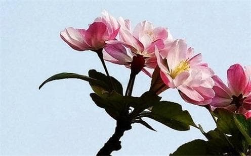 右眼皮跳动的征兆及其化解方法 右眼皮跳有什么含义和缓解技巧