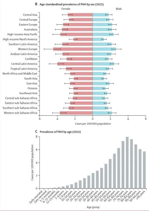 全球疾病负担数据库助力医学研究：以肺动脉高压为例