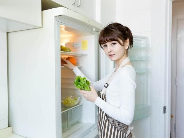 冰箱有小虫子怎么消除？三招教你彻底告别虫患