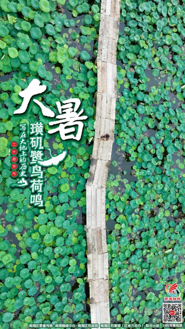 课本里的“鹭鸟天堂”，在南海这条古村找到了！