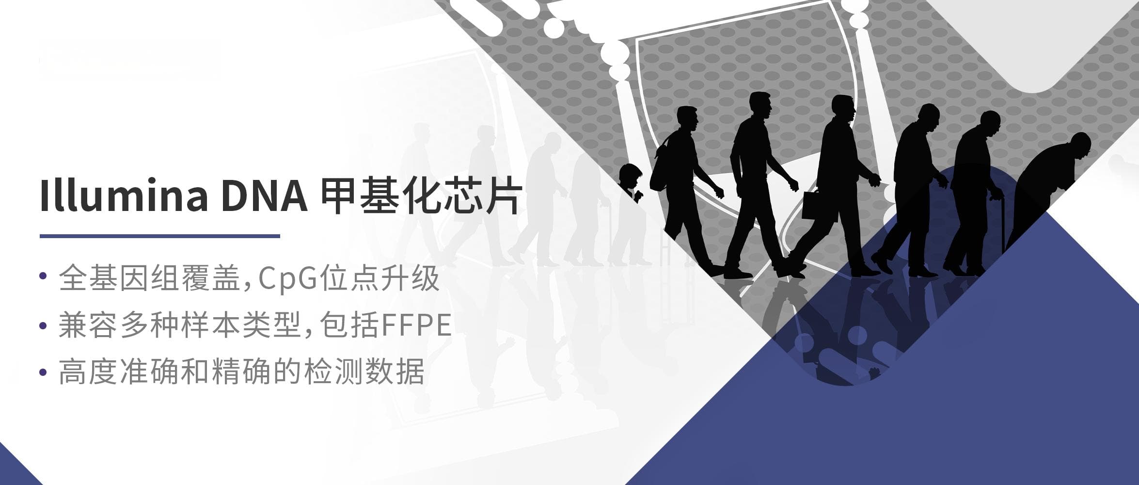 科研界洞悉未来的神奇魔杖：表观时钟——年龄衰老与死亡预测的计时器