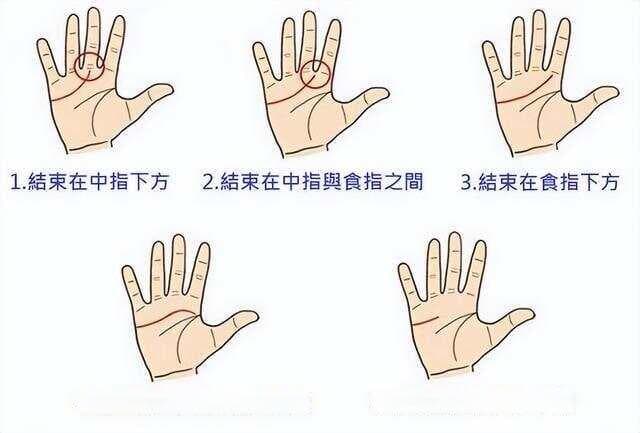 手相学中的感情线：从起点到分支的全面解读