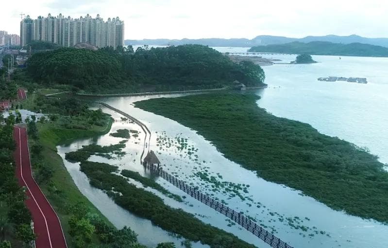 防城港：执“绿”为笔 绘就发展新画卷