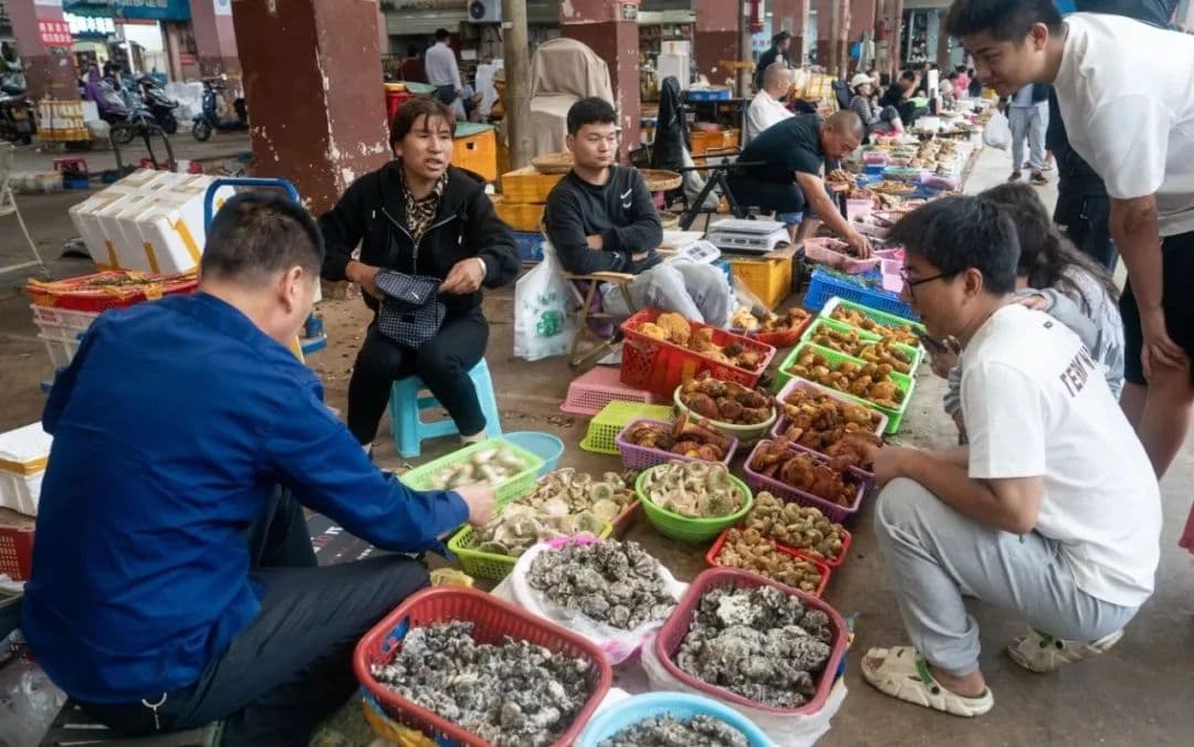 有一种旅游，叫“我在昆明逛菜场”