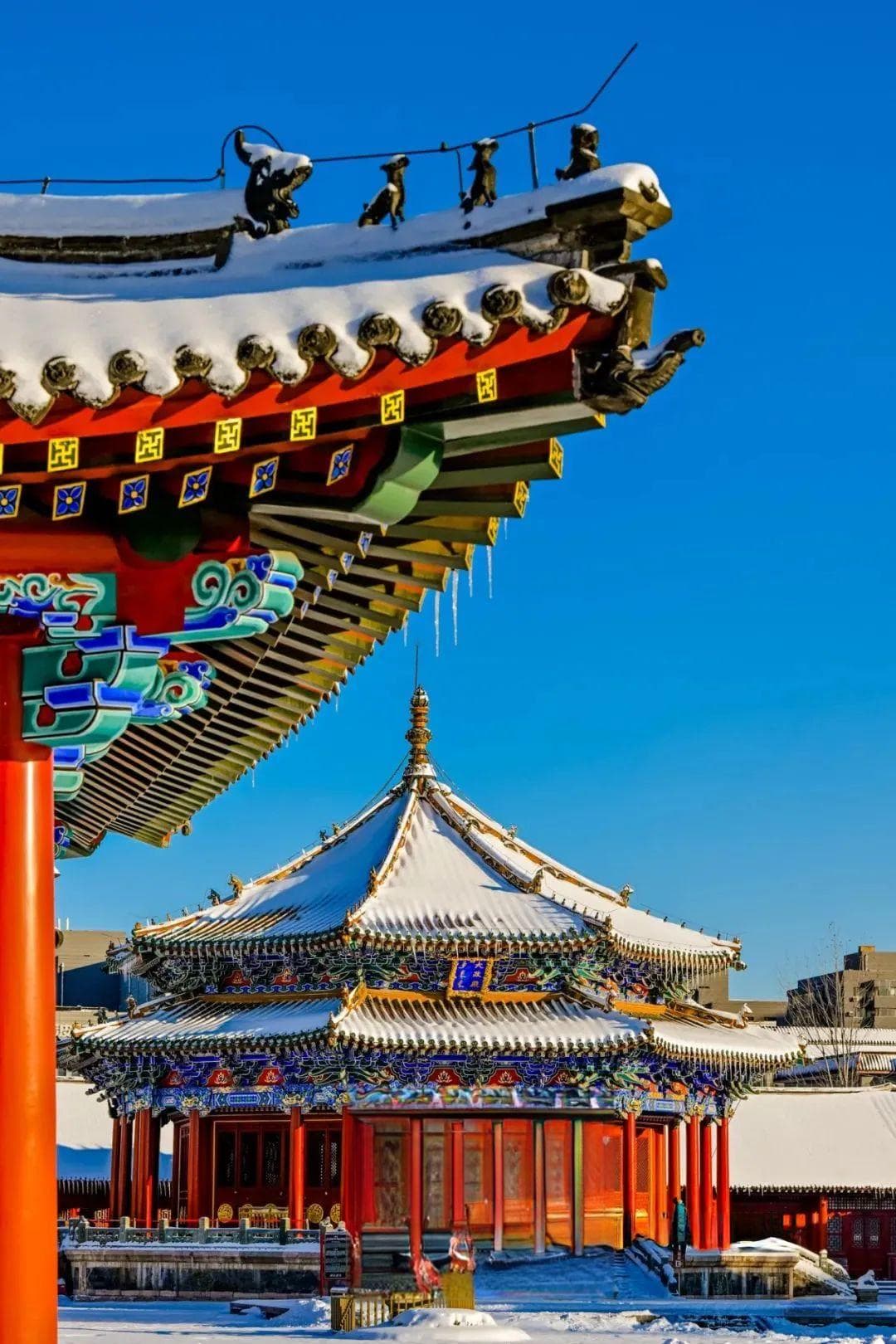 冬游沈阳必去5大景点+3大美食，从故宫到滑雪全攻略