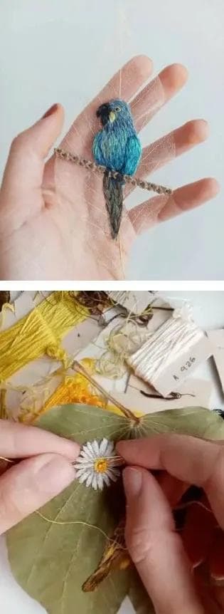 枯叶为背景，她用刺绣出86种濒危鸟类