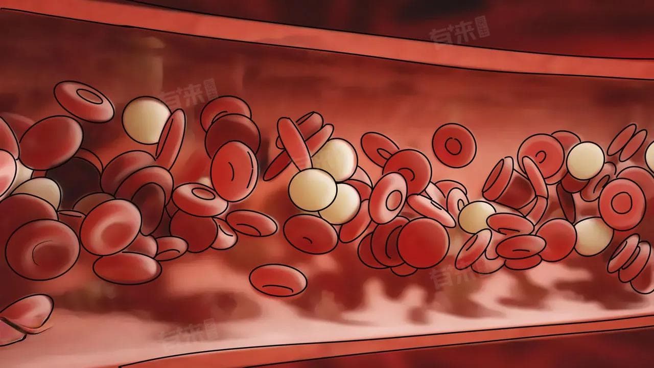 糖化白蛋白正常范围