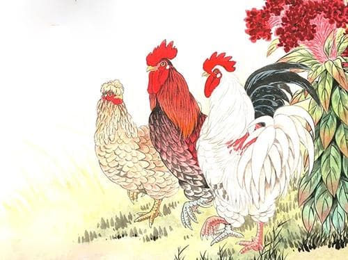 1993年出生的属什么生肖？详细解析及生肖特征