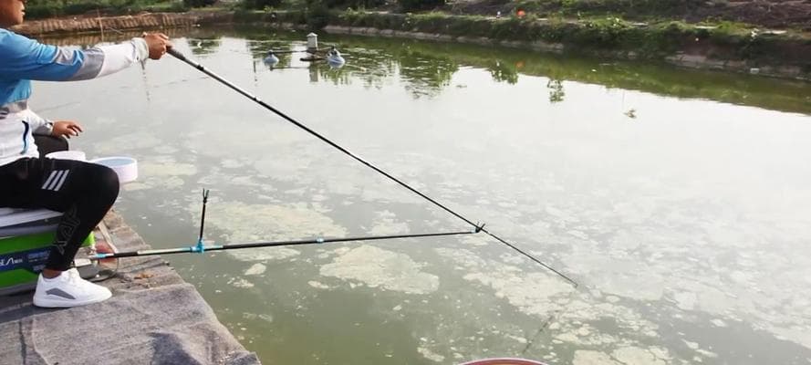 垂钓提竿技巧教程？如何提高垂钓成功率？