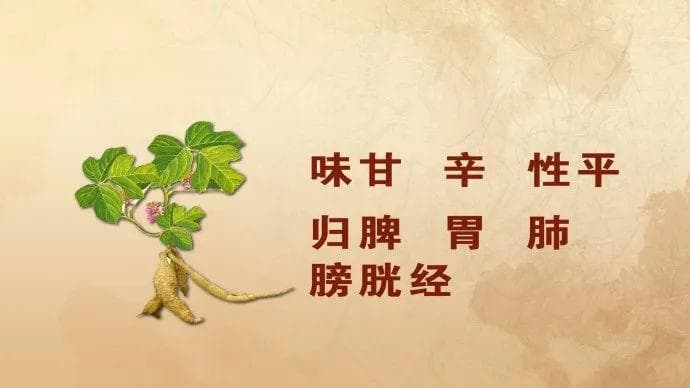 葛根粉选购秘籍：教你轻松辨别真假优劣