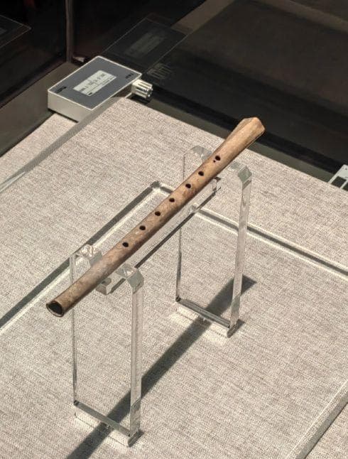 河南博物院游玩攻略：穿越历史长河，邂逅华夏瑰宝