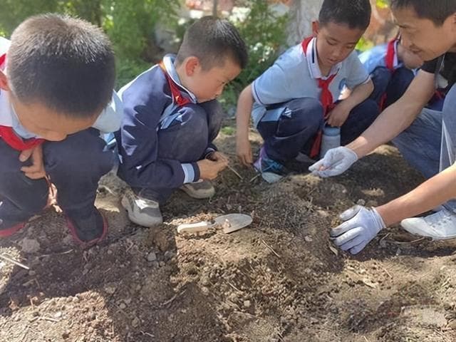 种菜、做饭、皮雕……乌鲁木齐这些学校的劳动课火出圈