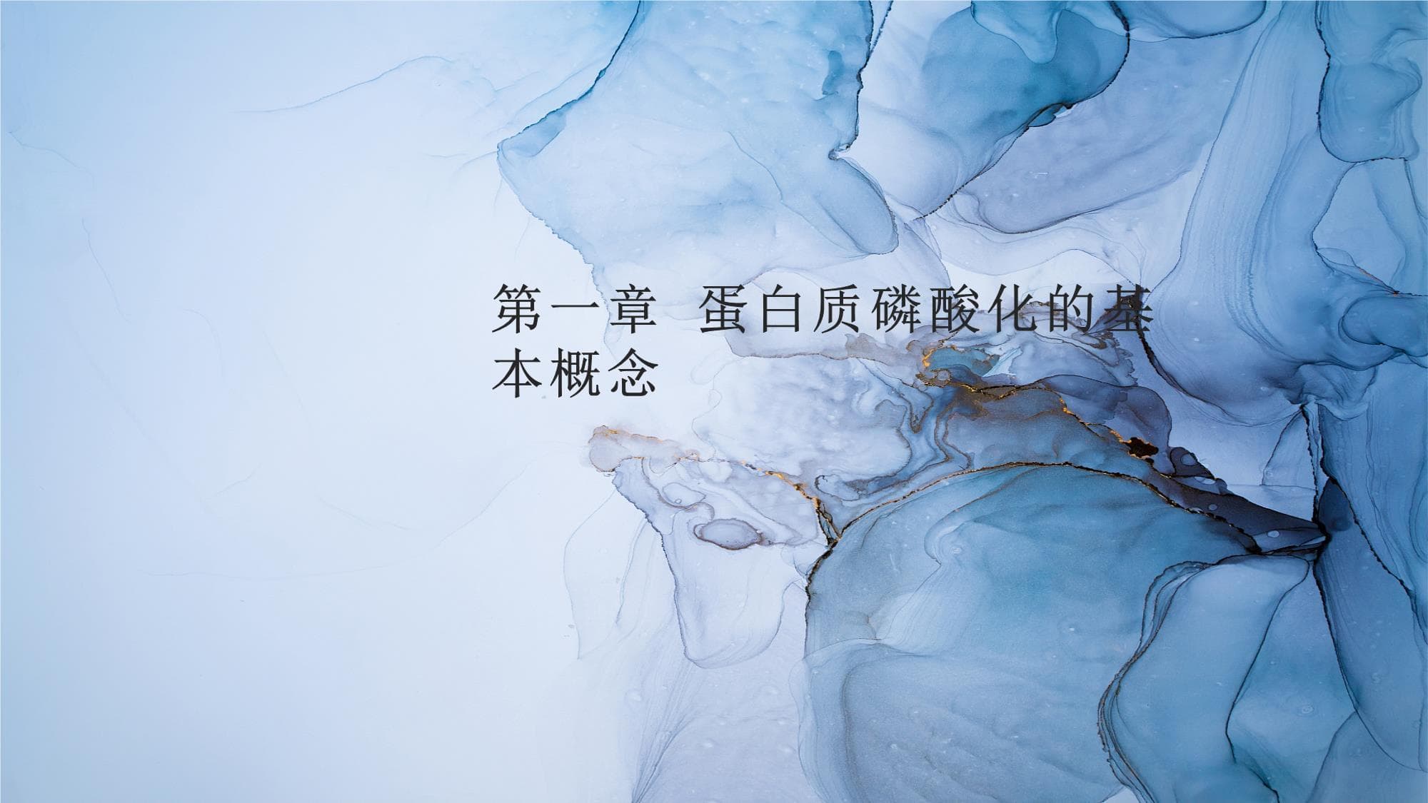 蛋白质磷酸化过程详解课件