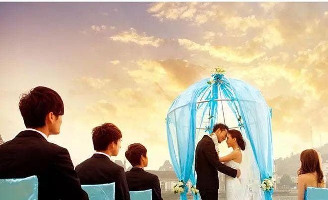 婚姻的本质：生存与繁衍的考量