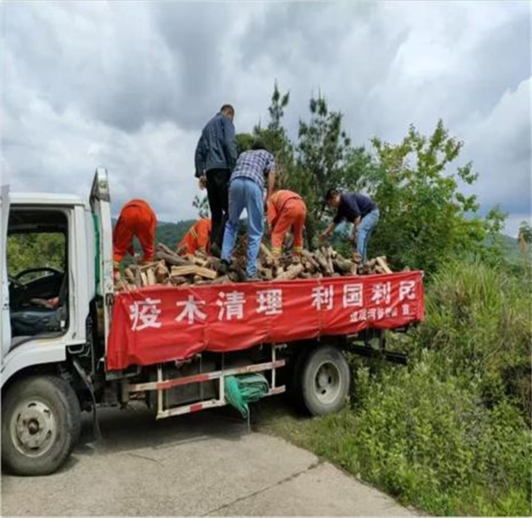 林业害虫防治