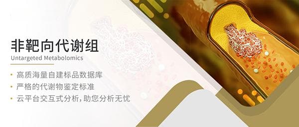 南开大学团队揭示人参皂苷CK"活血化瘀"新机制