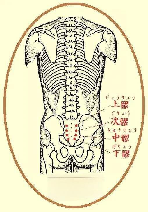 八髎穴：中医传统腰痛穴的精确定位与实用疗法