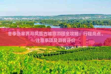 冬季张家界与凤凰古城旅游团全攻略：行程亮点、注意事项及游客评价