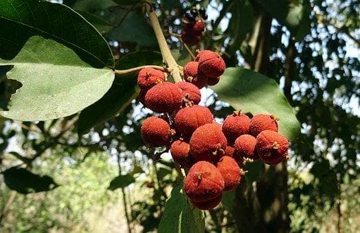 高考生物备考：18个高频考点总结