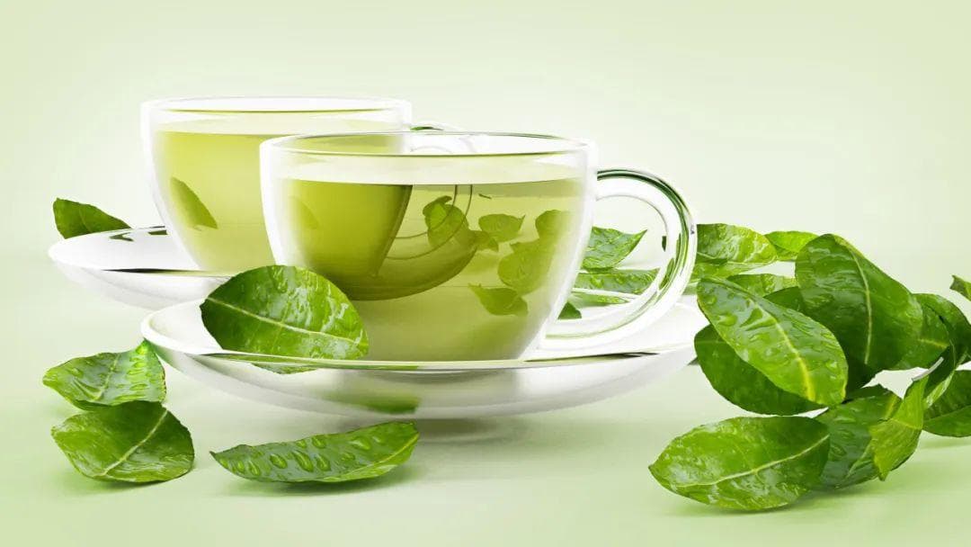 饮用绿茶与老年人脑白质病变减少有关