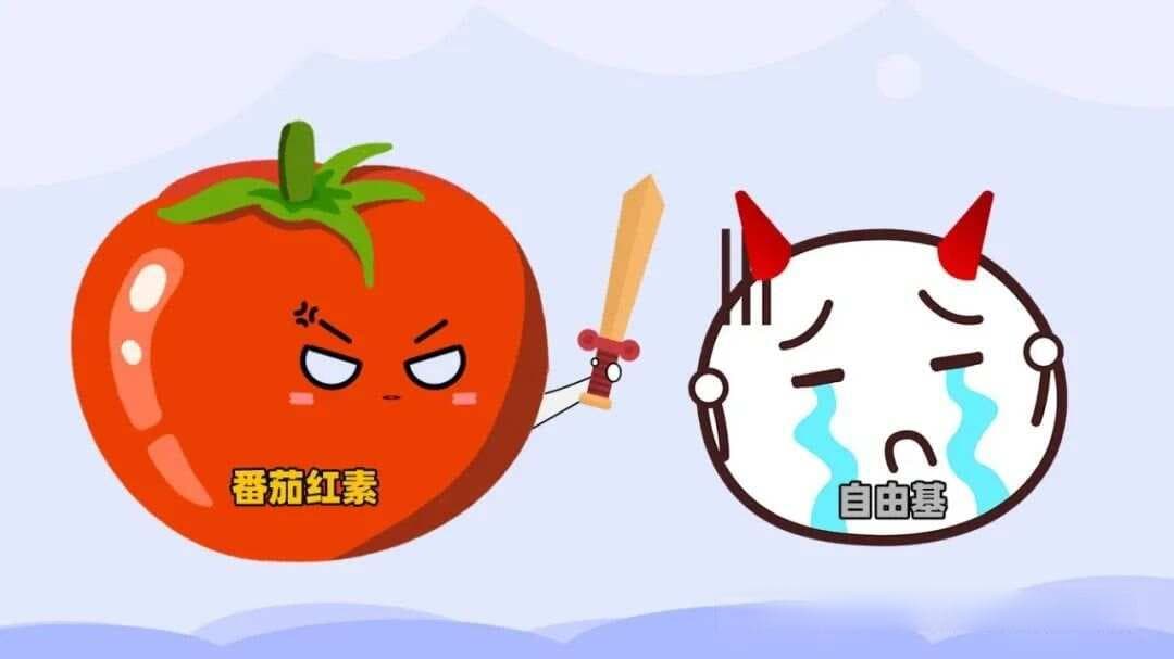 要想充分吸收番茄红素，番茄你得这样吃！