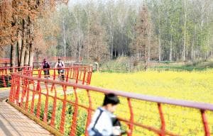 昆明滇池畔46个村庄“串珠成链”绘就乡村振兴新画卷