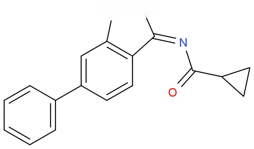 钙调蛋白：细胞信号传递的关键角色与疾病治疗的新靶点